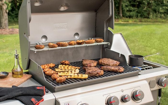 weber-natural-gas-grills-66016001-e1_1000.jpg