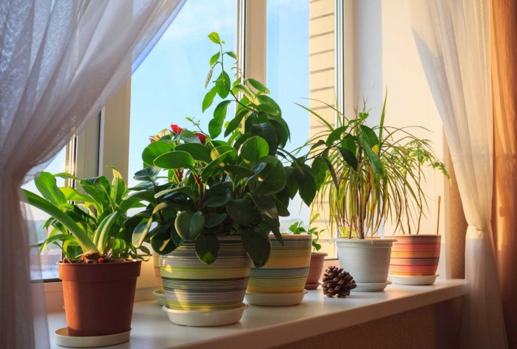 flowerpot-2-05.jpg